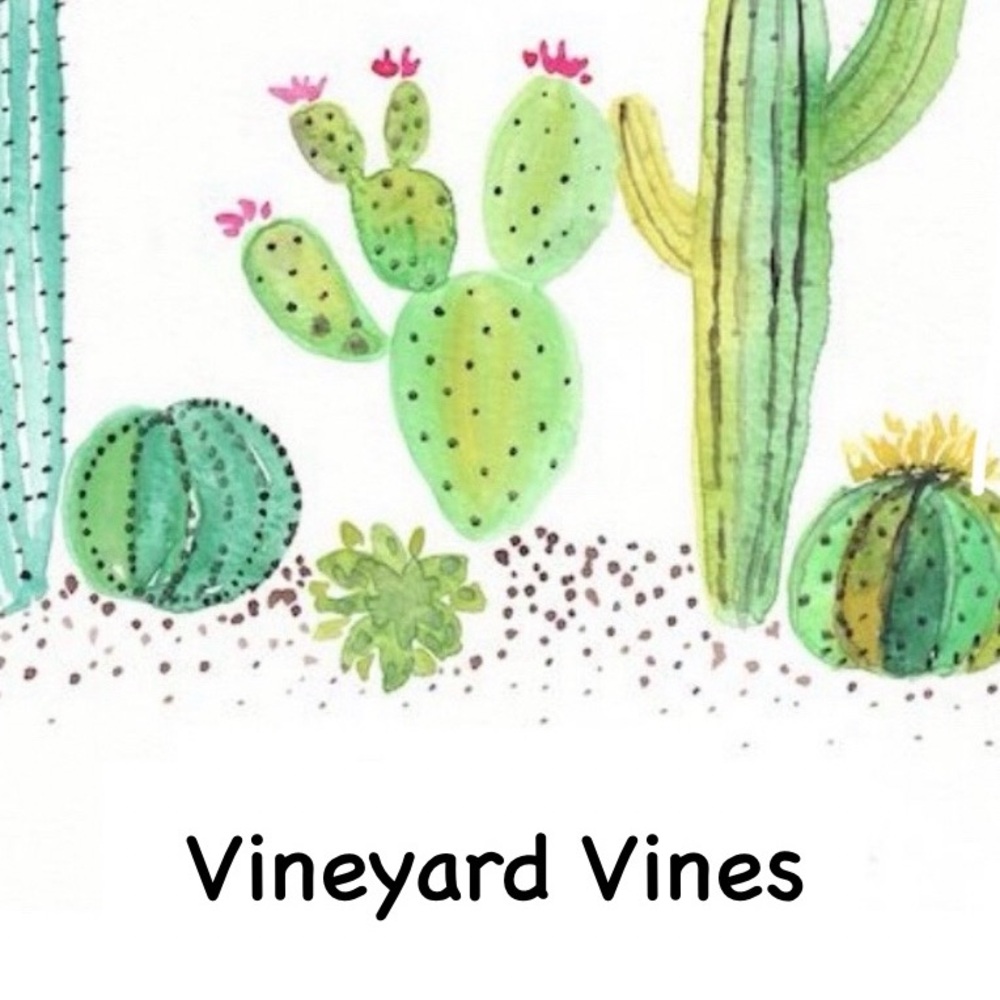 Vineyard Vines Colorful Cactus Illustration